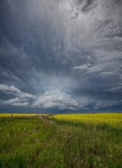 Alberta Division - Ryan Wunsch